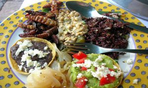 Fuente: https://www.travelreport.mx/gastronomia/comida-exotica-en-mexico-insectos/